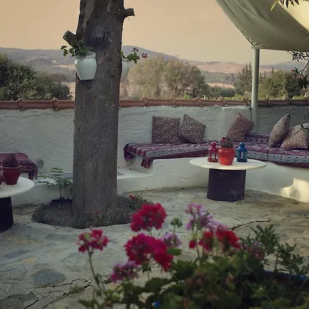 Bakkhos Kusadası