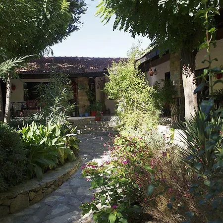 Bakkhos 3* Kusadası