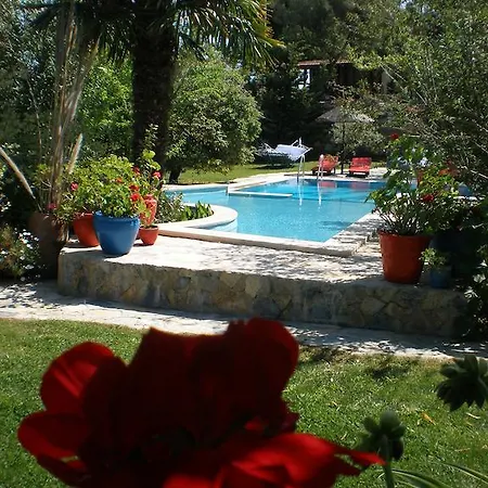Guest house Bakkhos 3*