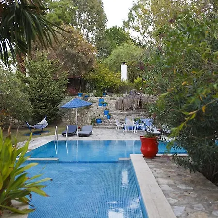 Bakkhos 3* Kusadasi